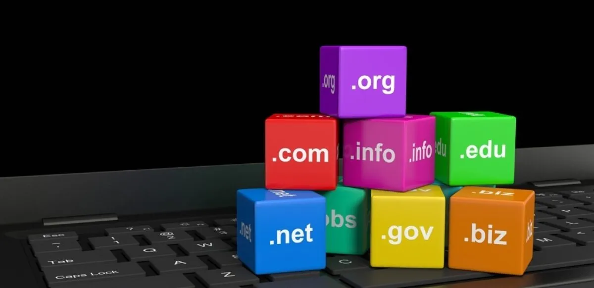 What is domain name privacy? We need it?